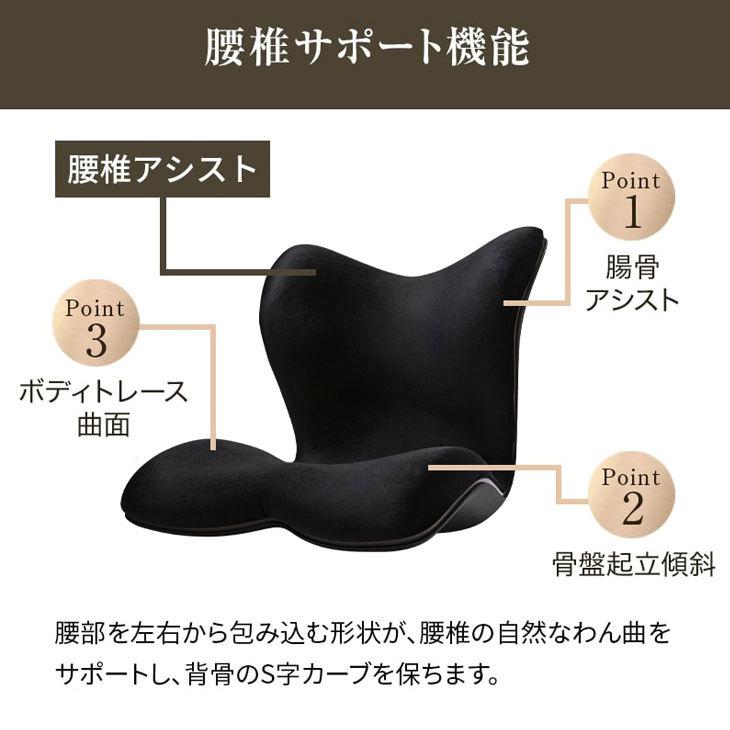 新品未使用】正規品 MTG 骨盤 姿勢ケア Style PREMIUM DX YA 新品未使用】正規品 MTG 骨盤 姿勢ケア Style PREMIUM DX YA