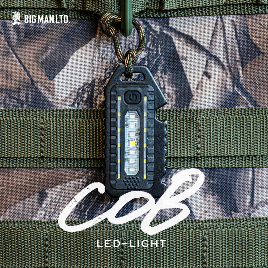LEDライト BM LEDミニミニポケットライト充電式 縦長 ポケットライト 携帯ライト 照明 ライト LED BPLM-04 赤 点滅 充電