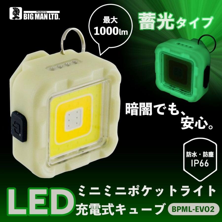 ビッグマン BIGMAN（ビッグマン） LEDミニミニポケットライト 充電式