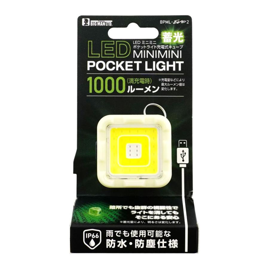 ビッグマン BIGMAN（ビッグマン） LEDミニミニポケットライト 充電式