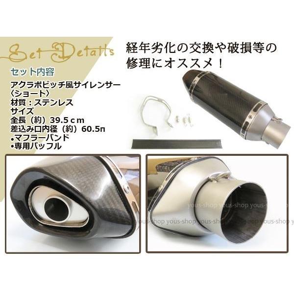 FJR1300 CB600RR GSF1200 TL1000S X-4 X11 φ60.5 サイレンサー