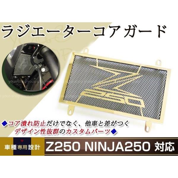 カワサキ Z250/NINJA250 黒 ラジエター コア ガード ラジエータ