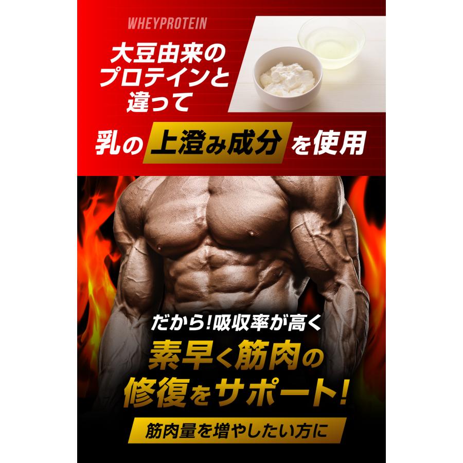 WHEYPROTEIN100  200粒【 ホエイ プロテイン 錠剤 】 筋肉 サプリ タブレット タンパク質 whey protein 持ち運び｜wheyprotein100｜07