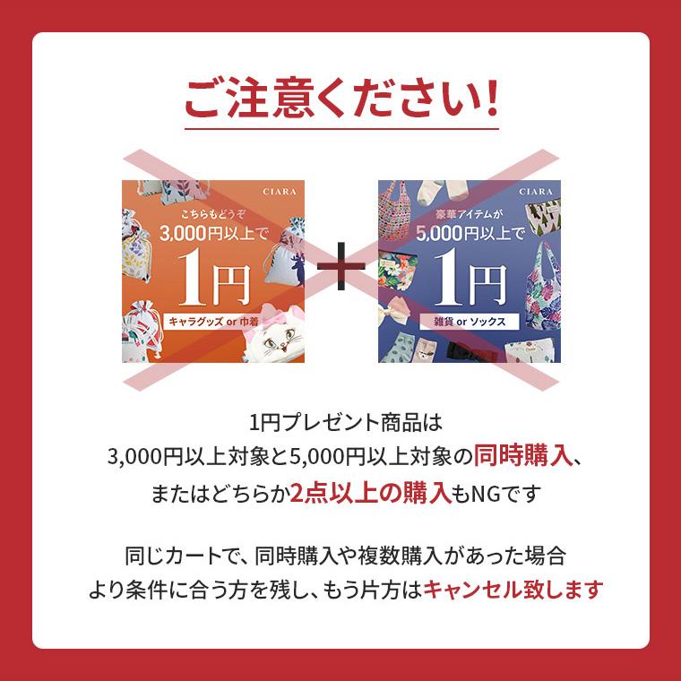 5月限定プレゼント♡3000円以上お買い上げ➡️先着6名様限定です‼️
