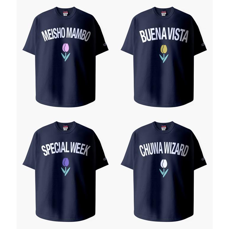 競馬 Tシャツ Lサイズ オルフェーヴル　非売品　JRA ③ Champion 助成金/競馬/アパレル/Orfevre/Subsidy/T-Shirts/オ