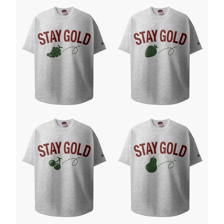 助成金/競馬/アパレル/Stay/Gold/Subsidy/T-Shirts/ステイゴールド/T
