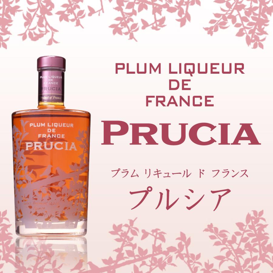 プルシア プラムリキュール 15度 700mlプラム リキュール ド フランス