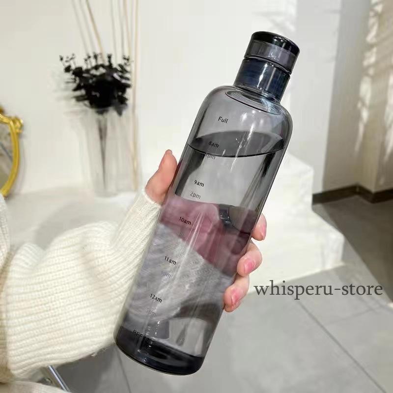 水筒 ガラス 500ml ウォーターボトル コンパクト マグボトル クリア
