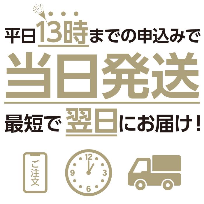 Wifi レンタル 90日 無制限 601HW Softbank wifiレンタル レンタルwifi wifiモバイルルーター Wifi LTE モバイルルーター simフリー 安い 即日発送 送料無料｜white-bang｜04