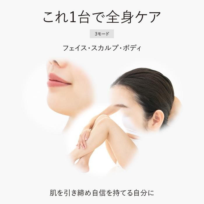 SALONIA サロニア 電気ブラシ EMSリフトブラシ 防水 EMS ブラシ SALONIA サロニア 電気ブラシ EMSリフトブラシ 防水 EMS ブラシ