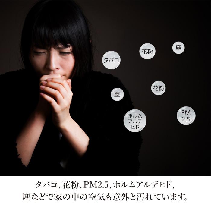 大放出セール 空気清浄機 ウィルス除去 小型 タバコ 花粉 静音 ペット 強力 大型 卓上型 Uv Usb 卓上 車用 車 効果 ウィルス対策 マイナスイオン 空気 10畳 Supplystudies Com