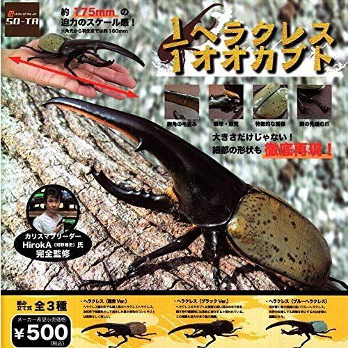 1 1ヘラクレスオオカブト 全3種セット フルコンプ Majesticxpress Com