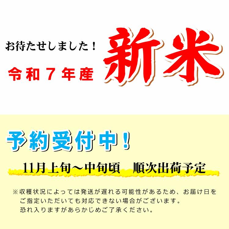 ヒノヒカリ 新米予約 無肥料 自然栽培米 令和7年産 5kg 農薬化学