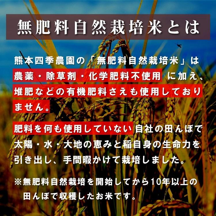 無肥料 自然栽培米 令和5年産 ヒノヒカリ 5kg 農薬化学肥料不使用 白米 玄米 放射能検査済み｜white-farm｜04