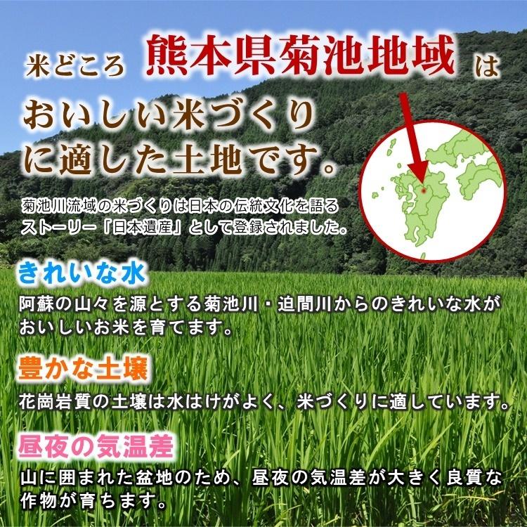 無肥料 自然栽培米 令和5年産 ヒノヒカリ 5kg 農薬化学肥料不使用 白米 玄米 放射能検査済み｜white-farm｜06