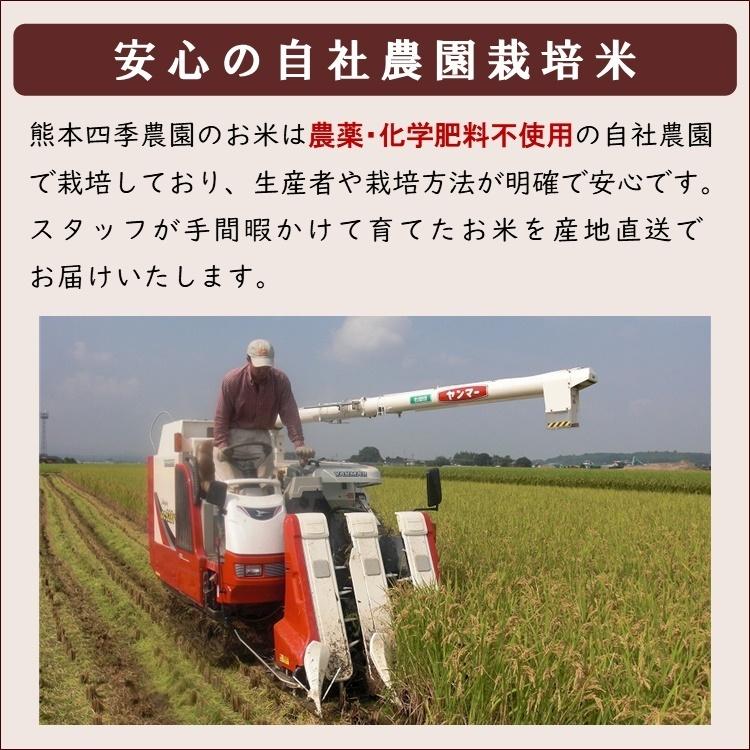 無肥料 自然栽培米 令和5年産 ヒノヒカリ 5kg 農薬化学肥料不使用 白米 玄米 放射能検査済み｜white-farm｜07
