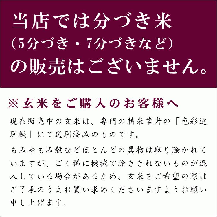 無肥料 自然栽培米 令和5年産 ヒノヒカリ 5kg 農薬化学肥料不使用 白米 玄米 放射能検査済み｜white-farm｜08