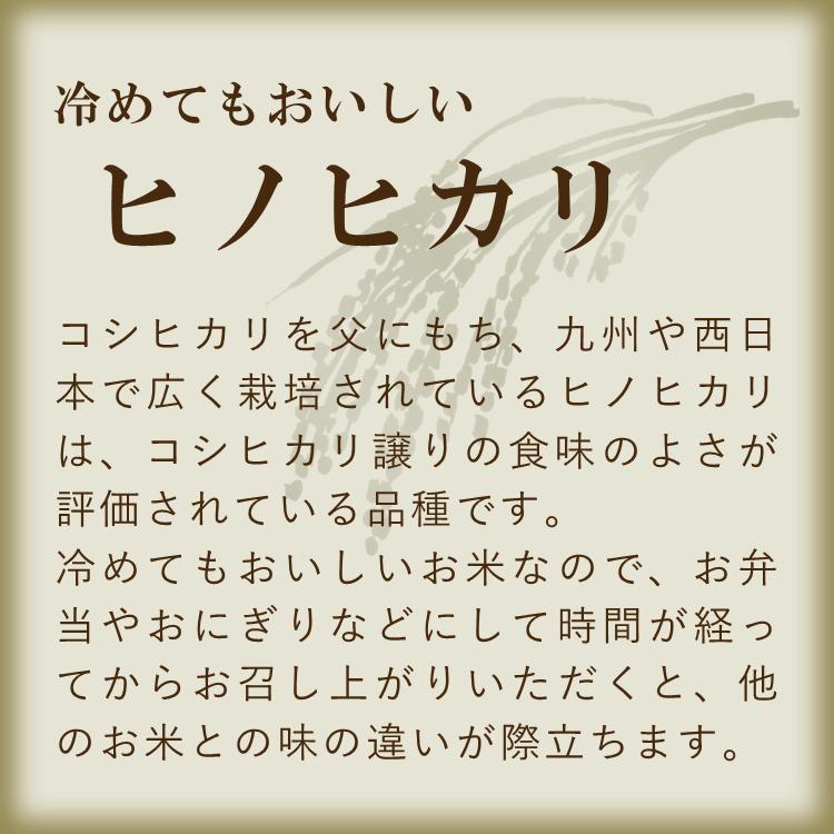 ヒノヒカリ 無肥料 自然栽培米 令和6年産 5kg 農薬化学肥料不 ヒノヒカリ 無肥料 自然栽培米 令和6年産 5kg 農薬化学肥料不