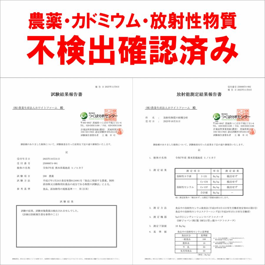 ヒノヒカリ 自然栽培米 10kg 白米 玄米 令和7年産 熊本県産 菊池 自社