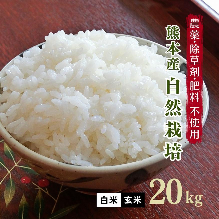 無肥料 自然栽培米 令和5年産 ヒノヒカリ 20kg 農薬化学肥料不使用 白米 玄米 放射能検査済み｜white-farm