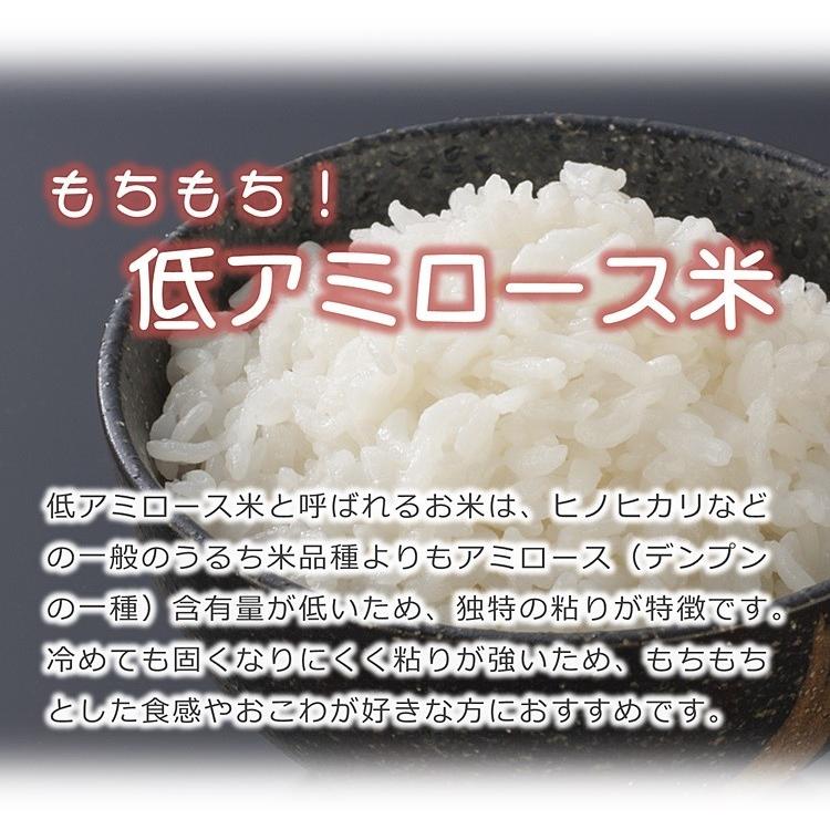 低アミロース米 ぴかまる 5kg 令和7年産 無肥料 自然栽培米 農薬化学