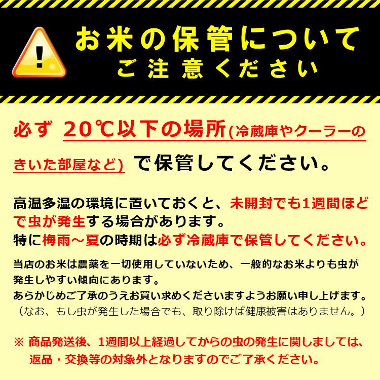低アミロース米 ぴかまる 5kg 令和7年産 無肥料 自然栽培米 農薬化学