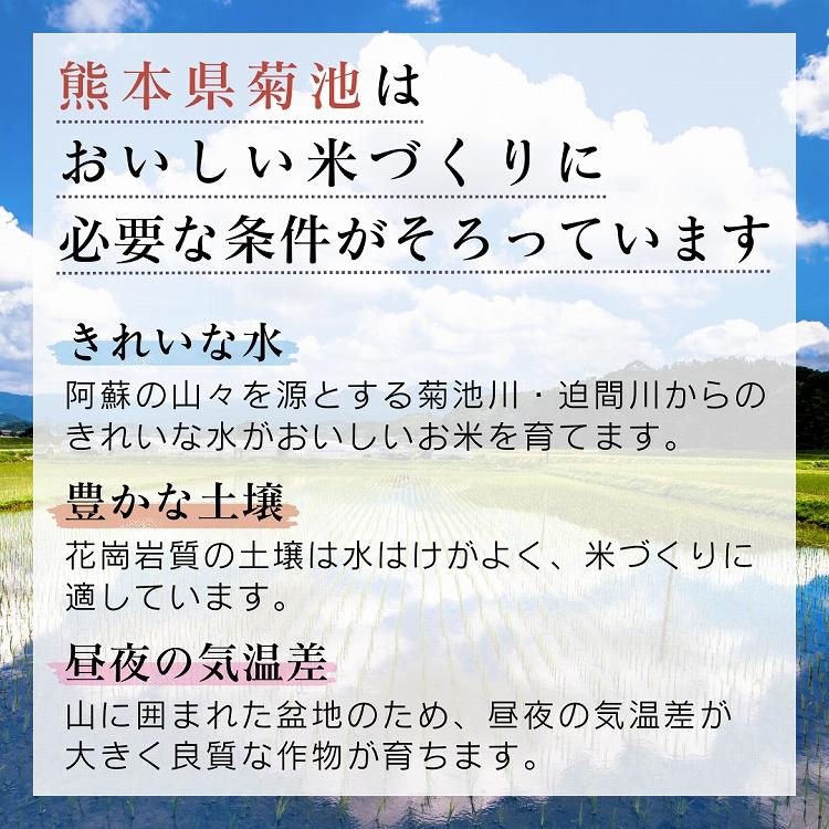低アミロース米 ぴかまる 5kg 令和7年産 無肥料 自然栽培米 農薬化学