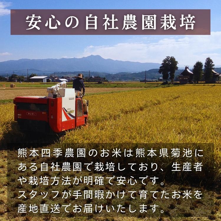 低アミロース米 ぴかまる 5kg 令和7年産 無肥料 自然栽培米 農薬化学