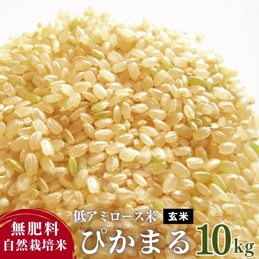 低アミロース米 ぴかまる 10kg 令和6年産 無肥料 自然栽培米 低アミロース米 ぴかまる 10kg 令和6年産 無肥料 自然栽培米