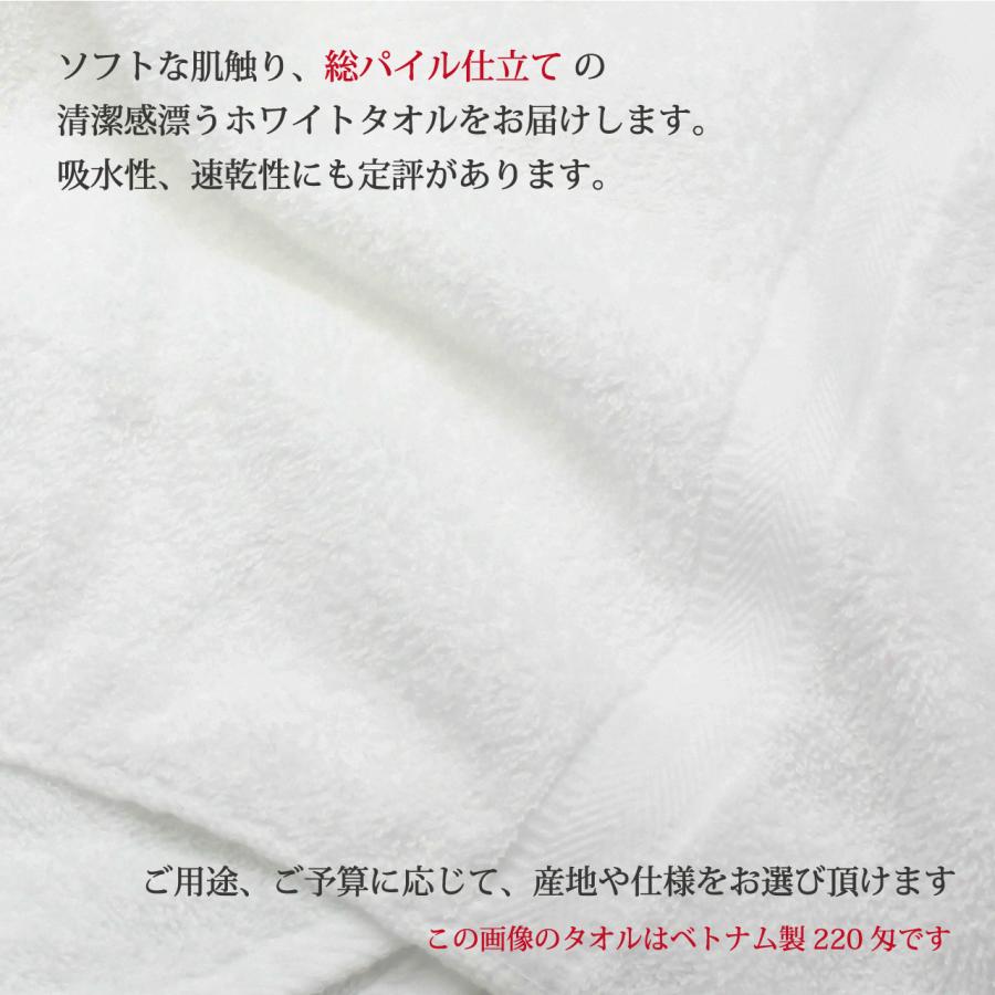 タオル フェイスタオル 白タオル のし名入れ のし付き お年賀タオル