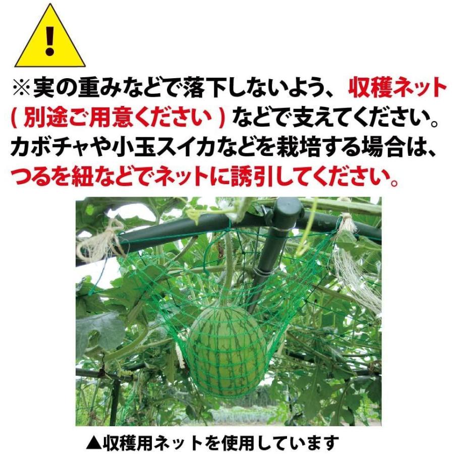 人気満点 個人宅配送 4セット 空中栽培 つる棚セット Tds 1 8 H カボチャ 小玉スイカ 等 第一ビニール 第b 代不 新規購入 Zoetalentsolutions Com