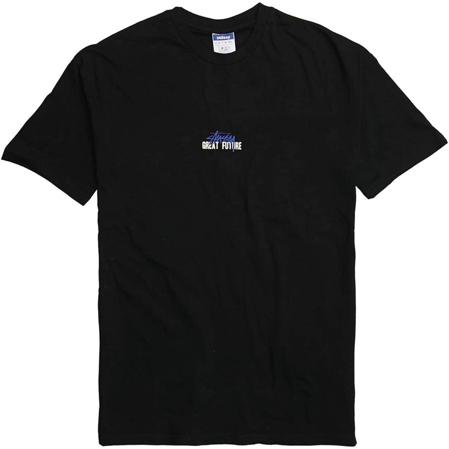 STUSSY (ステューシー) GREAT FUTURE SS TEE メンズ 半袖 T STUSSY (ステューシー) GREAT FUTURE SS TEE メンズ 半袖 T