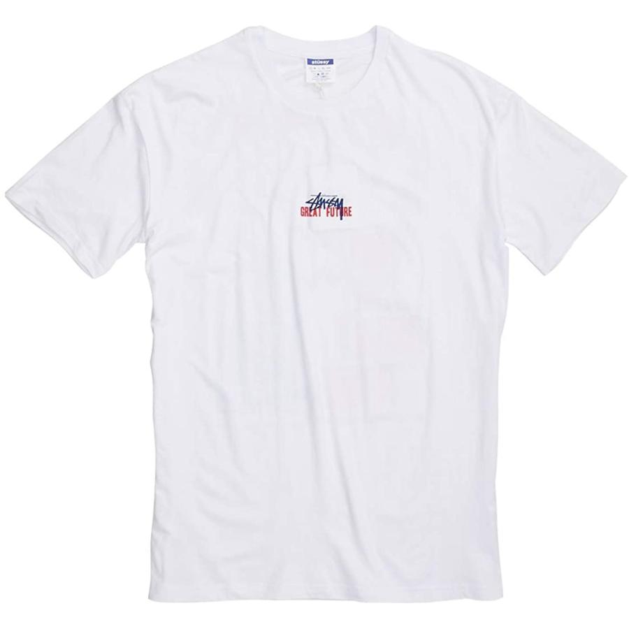 STUSSY（ステューシー） STUSSY GREAT FUTURE SS TEE メンズ 半袖 T