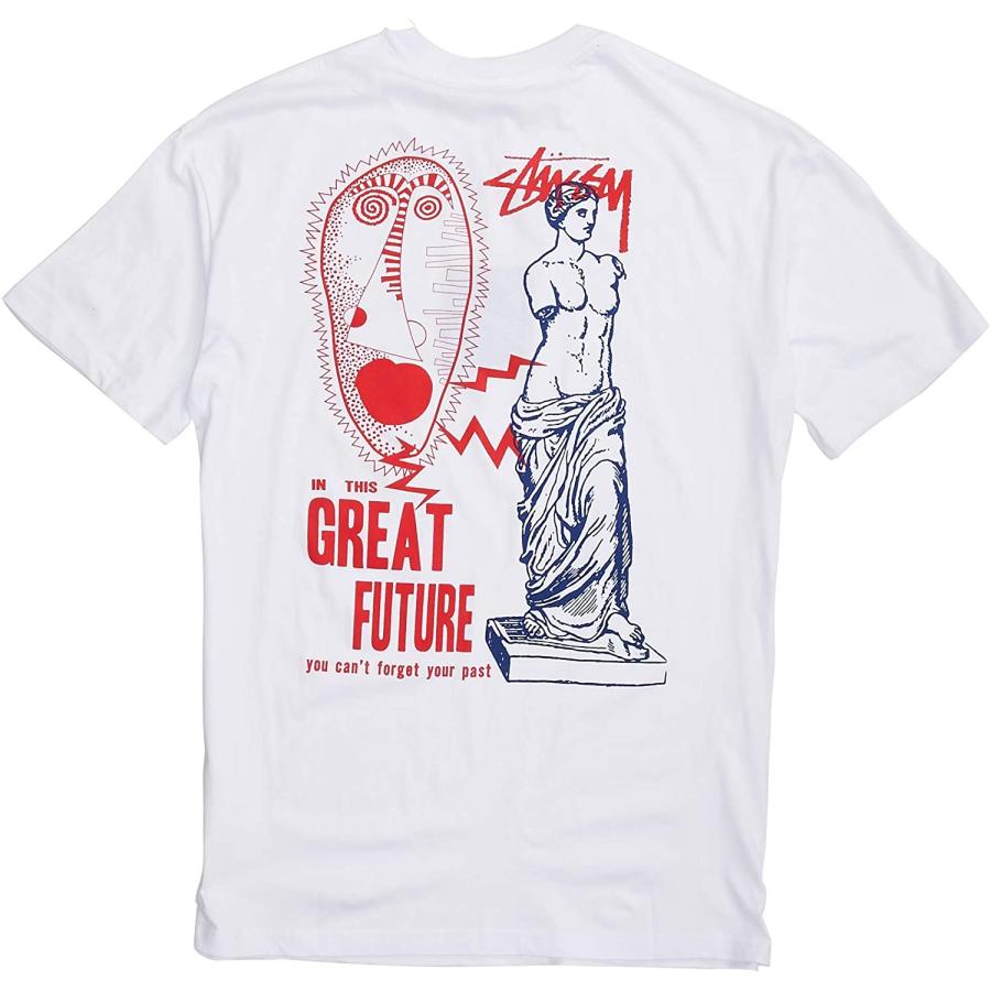STUSSY (ステューシー) GREAT FUTURE SS TEE メンズ 半袖 T STUSSY (ステューシー) GREAT FUTURE SS TEE メンズ 半袖 T
