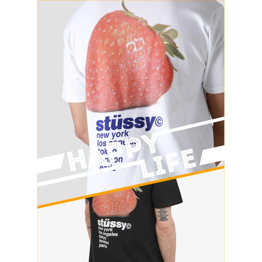 STUSSY (ステューシー) STRAWBERRY TEE 1904769 メンズ 半袖 T STUSSY (ステューシー) STRAWBERRY TEE 1904769 メンズ 半袖 T