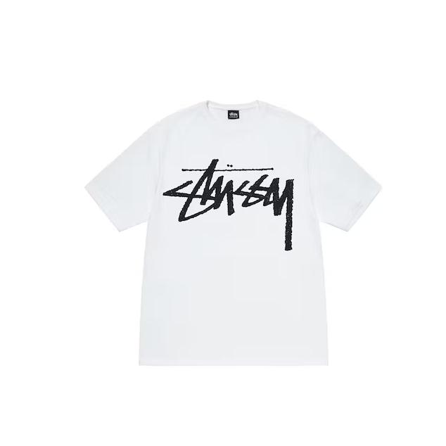 STUSSY（ステューシー） STUSSY Big Stock Tee 1904843 メンズ 半袖 T