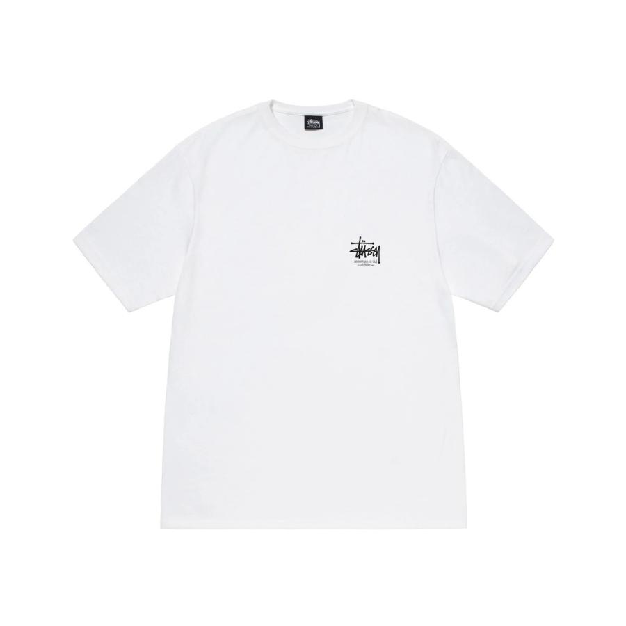 STUSSY（ステューシー） STUSSY DRAGON TEE 1904847 メンズ 半袖 T