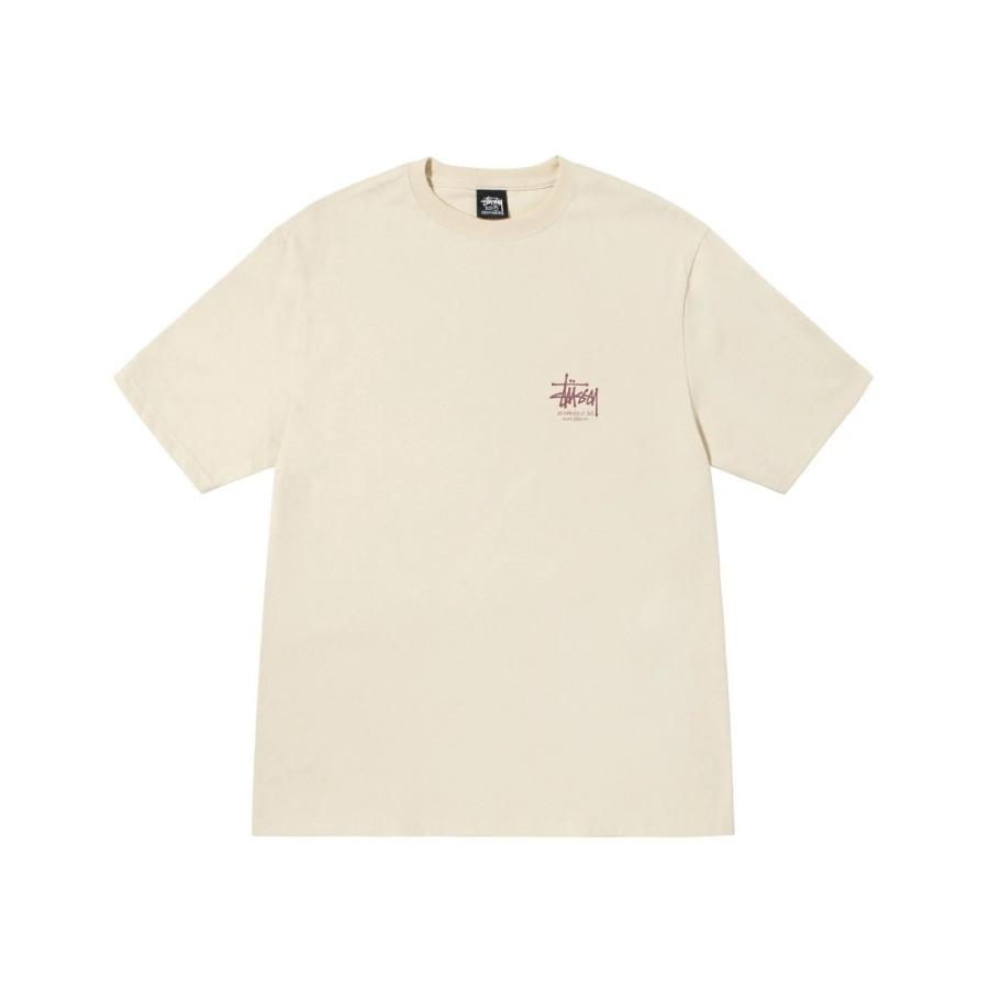 STUSSY（ステューシー） STUSSY DRAGON TEE 1904847 メンズ 半袖 T