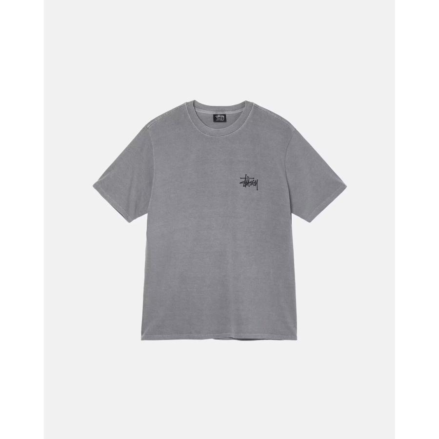 STUSSY（ステューシー） STUSSY BASIC PIG. DYED TEE 1904879 メンズ