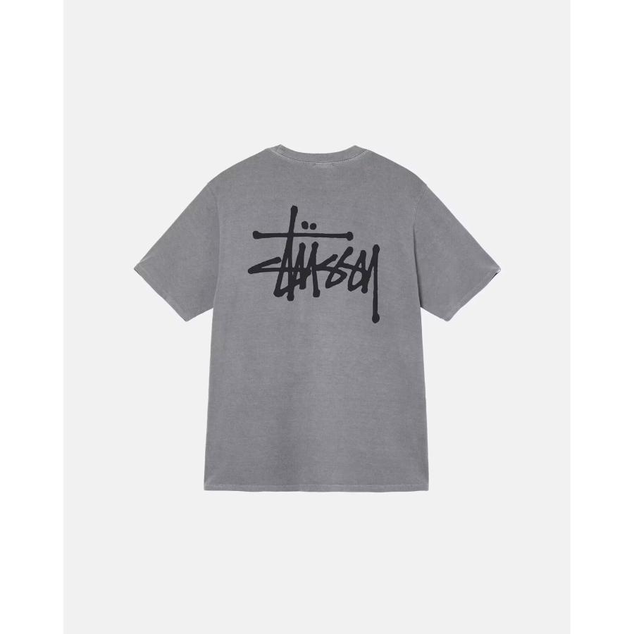 STUSSY（ステューシー） STUSSY BASIC PIG. DYED TEE 1904879 メンズ