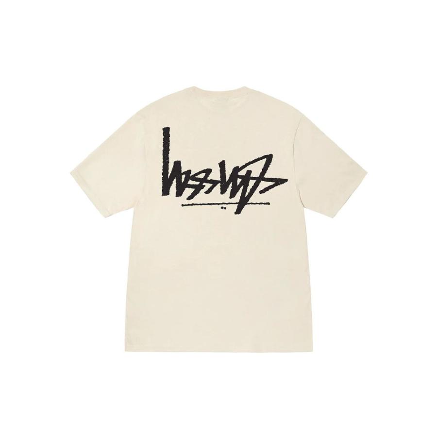 STUSSY（ステューシー） STUSSY FLIPPED T-SHIRT 1904895メンズ 半袖 T