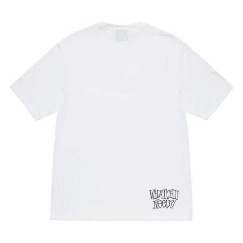 STUSSY（ステューシー） STUSSY WHATCHU NEED TEE 1904955 メンズ 半袖