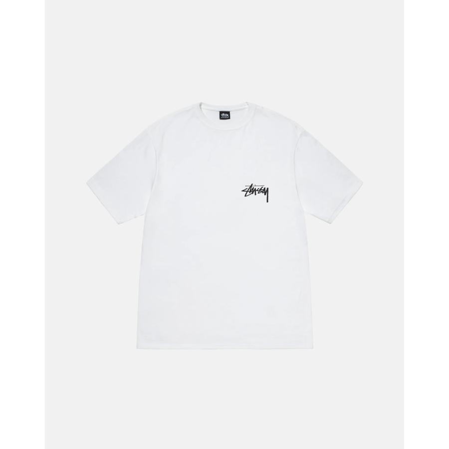 STUSSY（ステューシー） STUSSY SCORPION TEE 1905016 Tシャツ 半袖