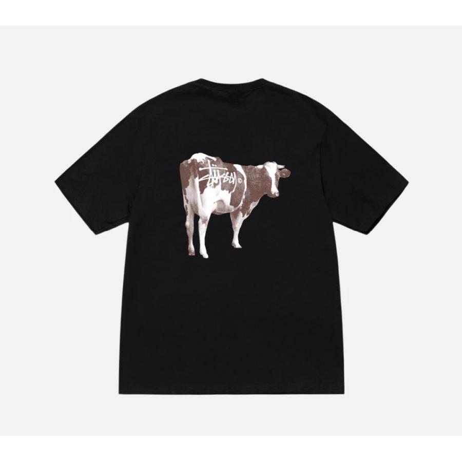 STUSSY（ステューシー） STUSSY GRASSFED TEE 1905046 Tシャツ 半袖