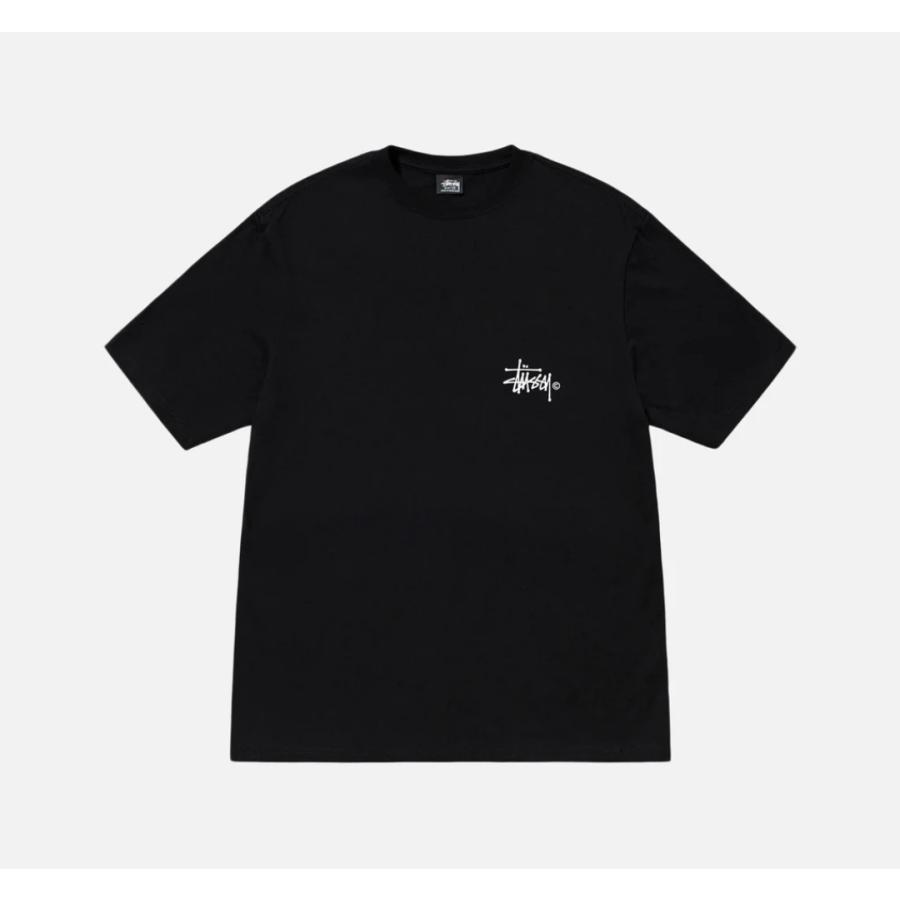 STUSSY（ステューシー） STUSSY GRASSFED TEE 1905046 Tシャツ 半袖