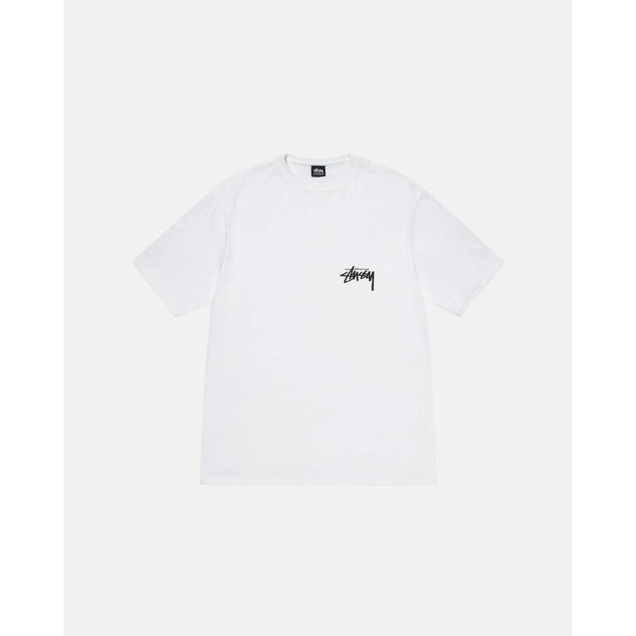 STUSSY (ステューシー) メンズ Cherries Tee T-SHIRTS STUSSY (ステューシー) メンズ Cherries Tee T-SHIRTS