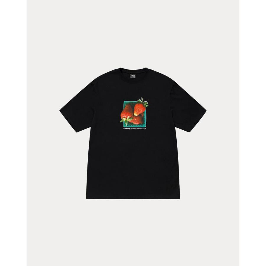 STUSSY（ステューシー） STUSSY BERRIES TEE 1905108 Tシャツ 半袖