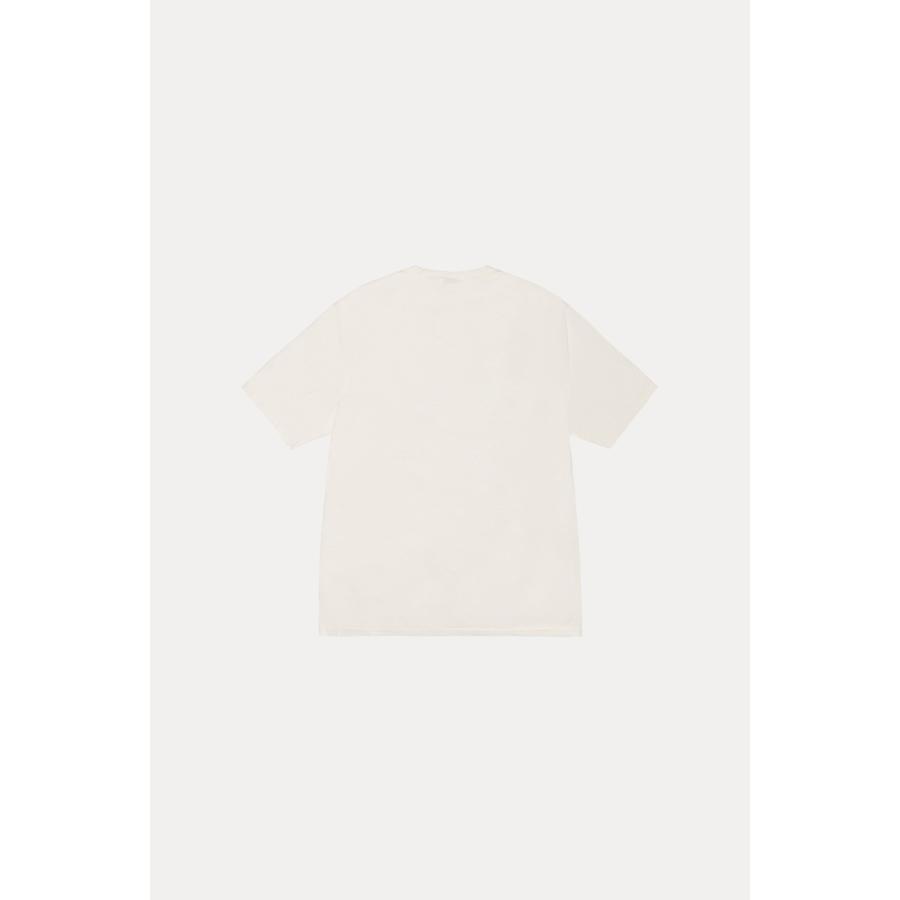 STUSSY（ステューシー） STUSSY OL SWIRL PIG.DYED TEE 3904018 T