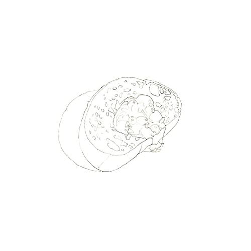 描こう リアル色鉛筆:3色から始める ( ) : White Wings2 - 通販 描こう リアル色鉛筆:3色から始める ( ) : White Wings2 - 通販