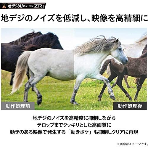 【新商品】 レグザ 55インチ 4K液晶テレビ 55Z570K 倍速パネル搭載 4Kチューナー内蔵 外付けHDD2番組同時録画 スマートテレビ (2021年 【VQ1729035587】(62951円)